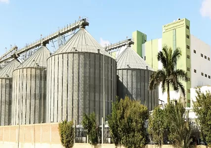 Arabian Milling & Food Industry Co. Alejandría Egipto